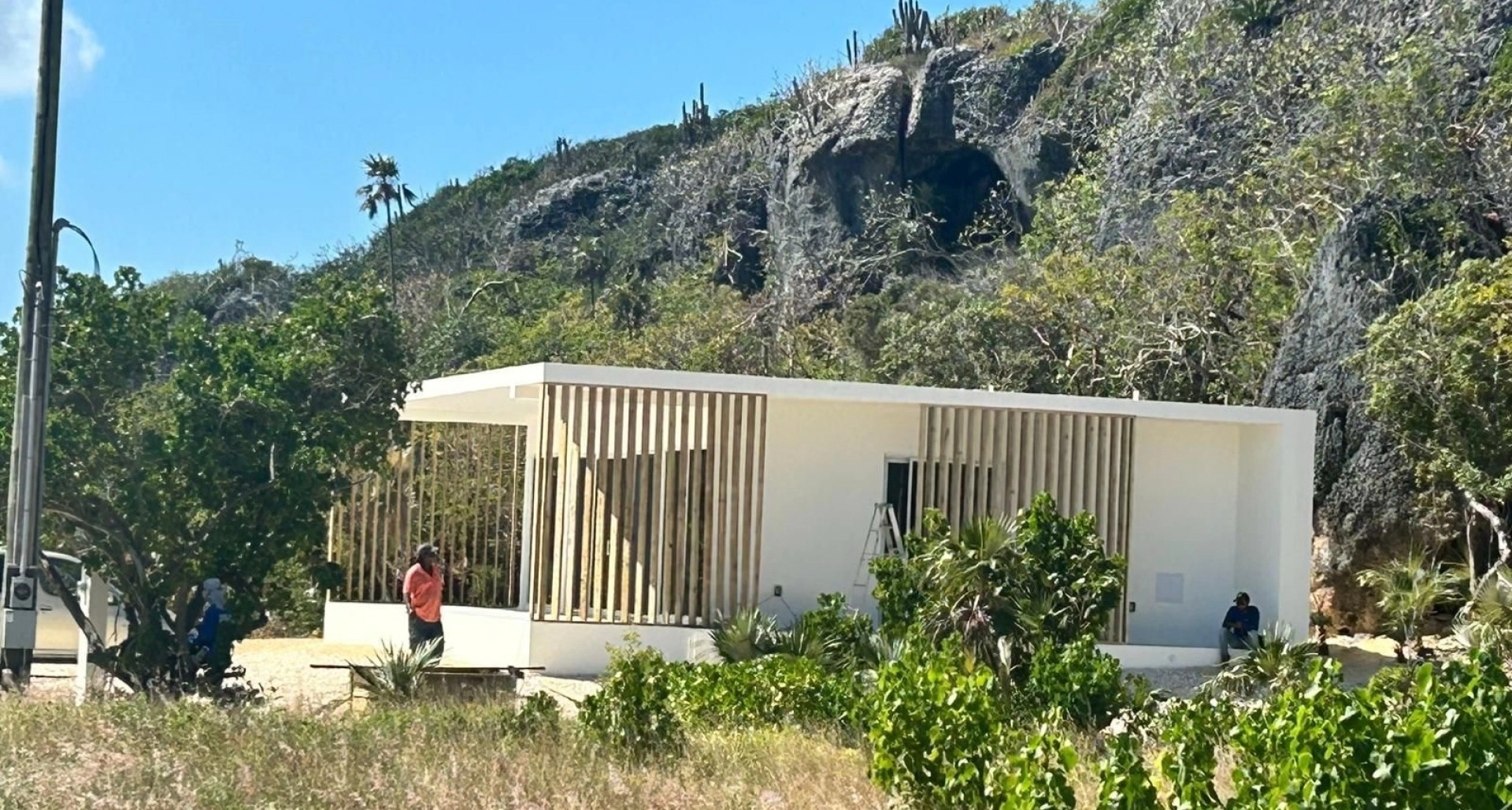 Image 5