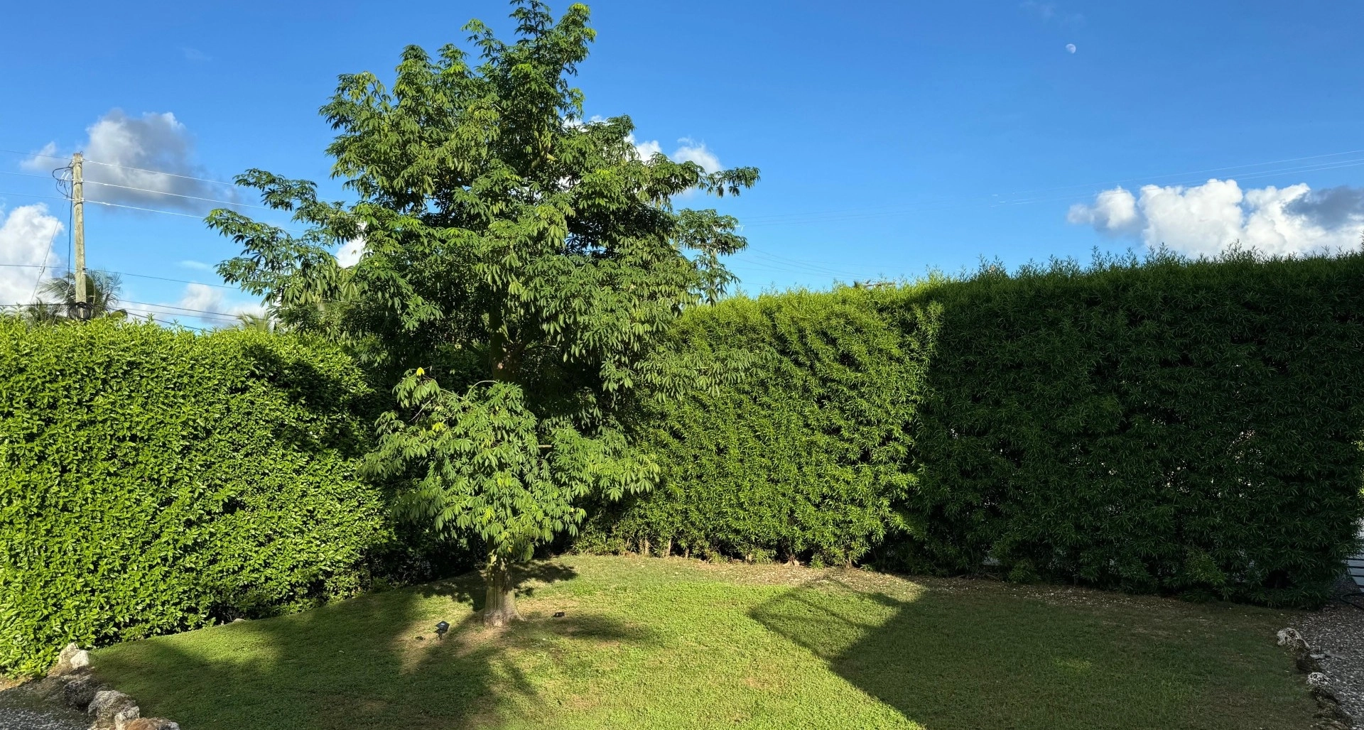 Image 16