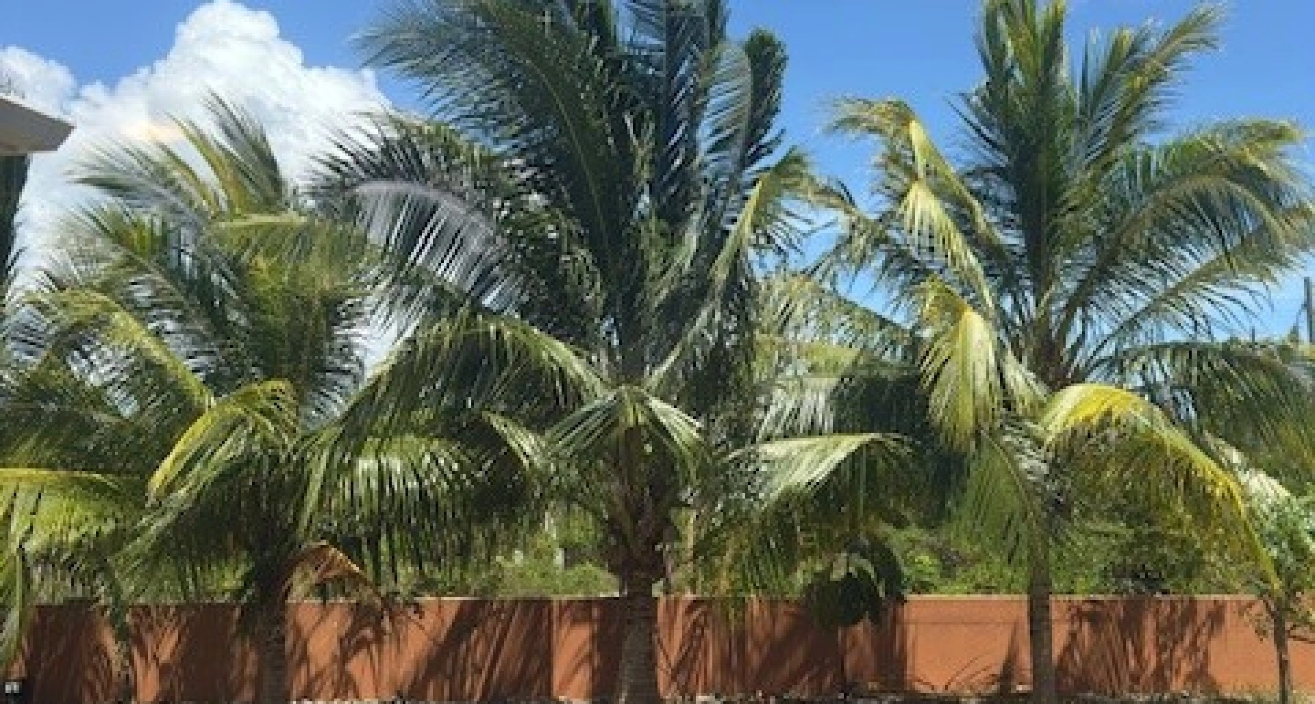 Image 34