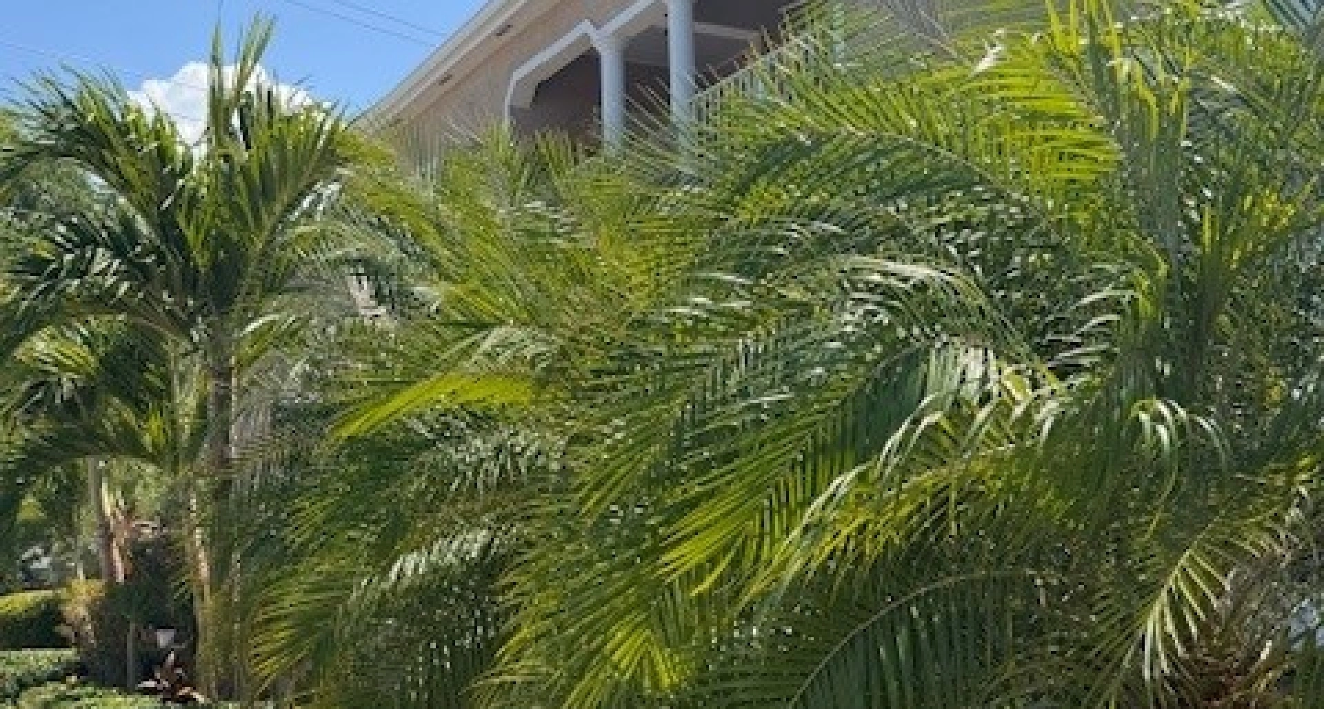 Image 10