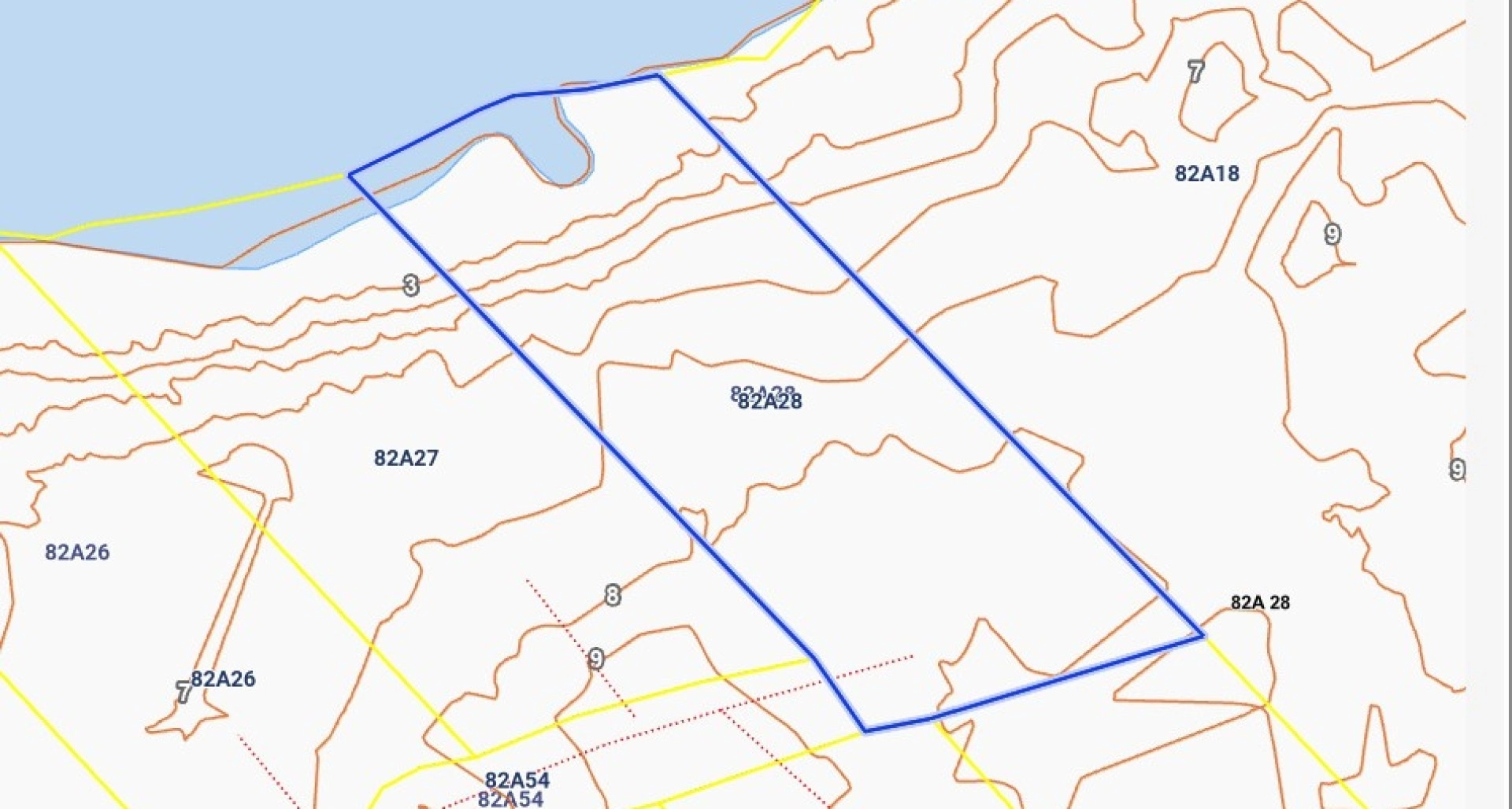 Image 4