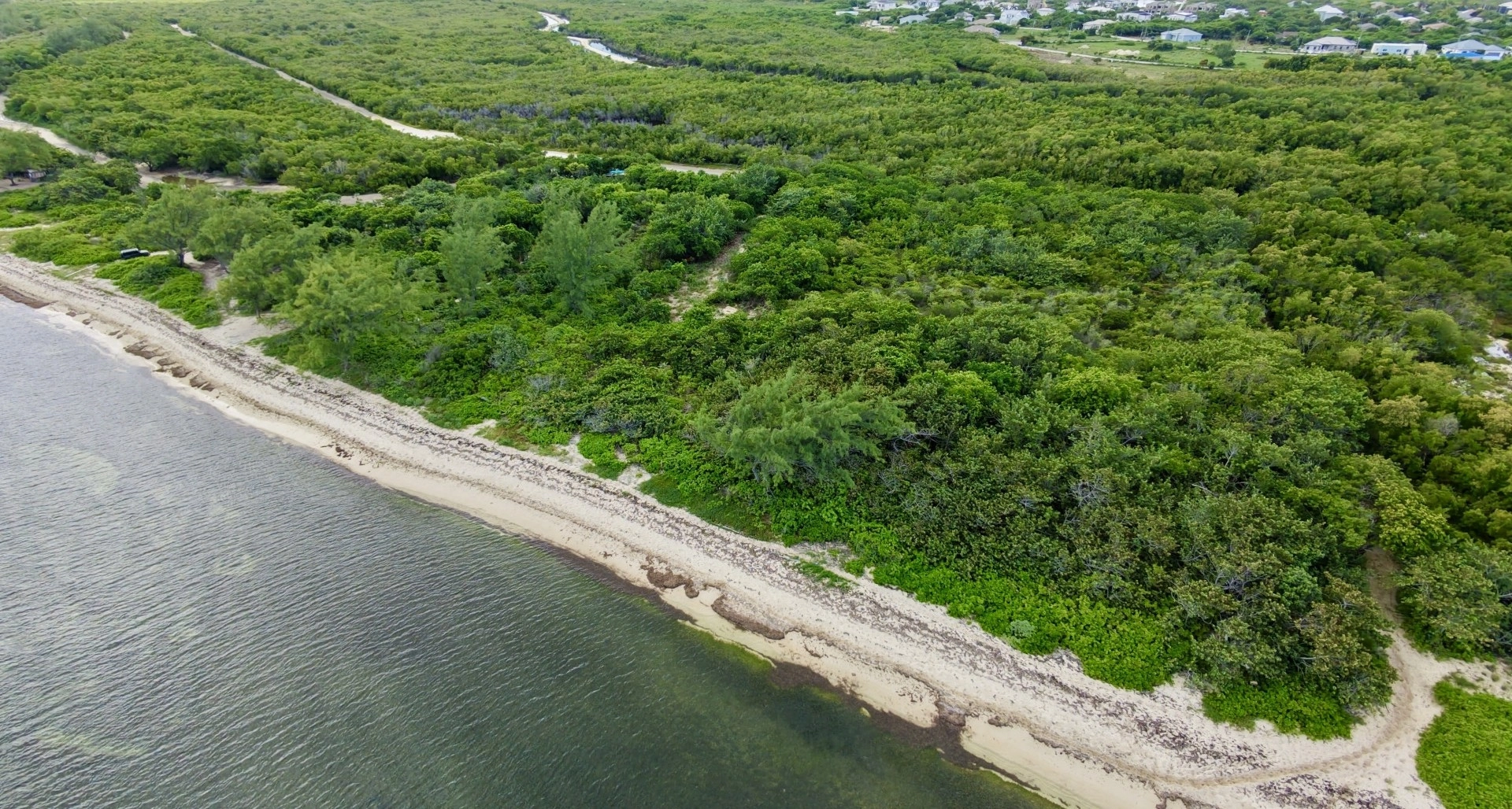 Image 8