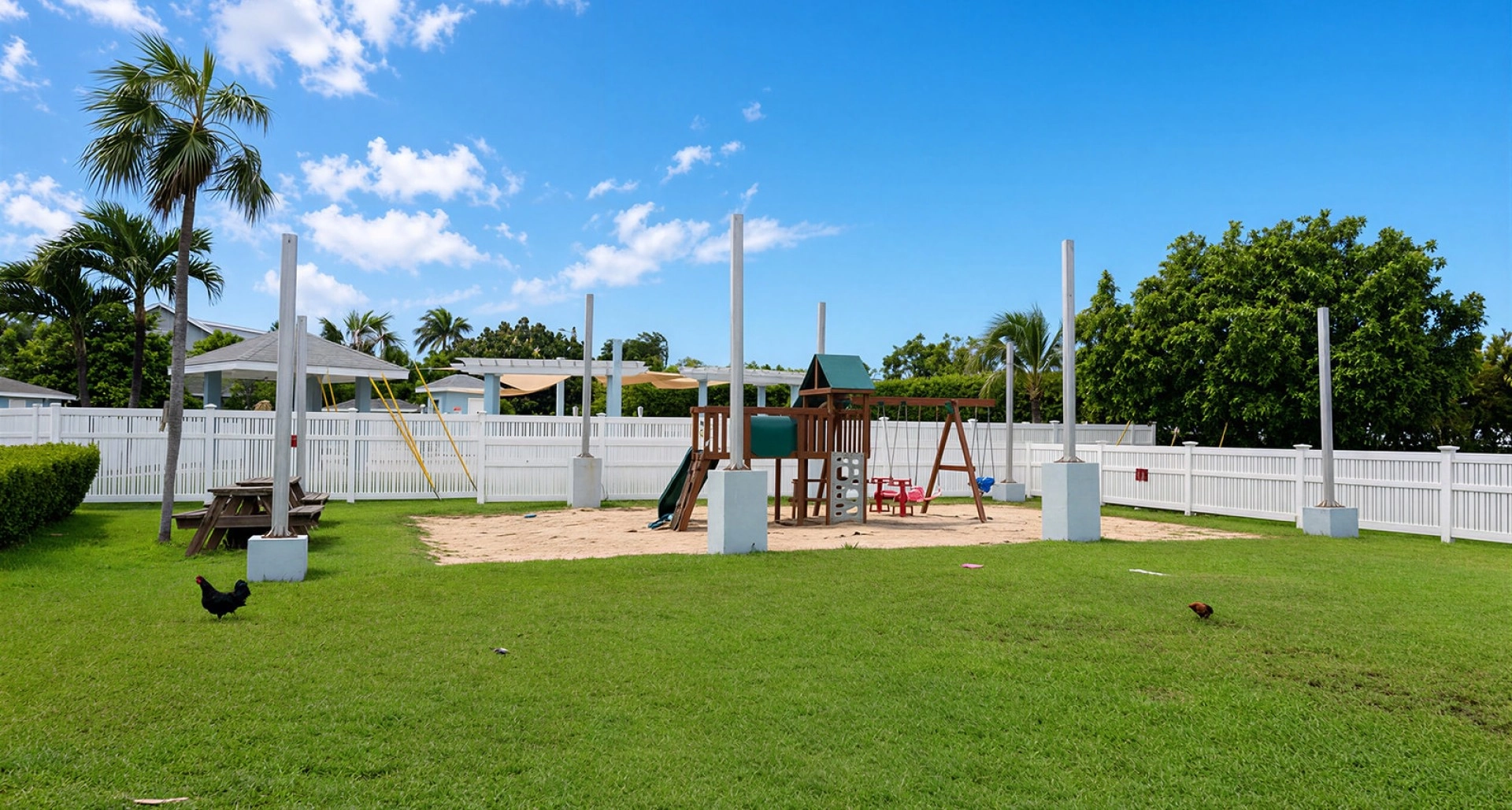 Image 12