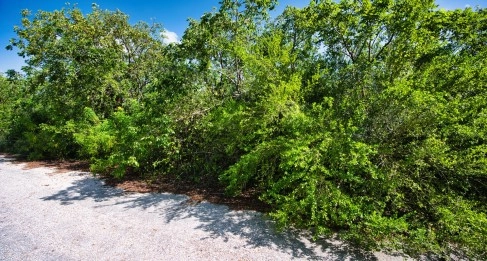 Cayman Brac Inland Parcel - OWNER FINANCING OFFERED!!