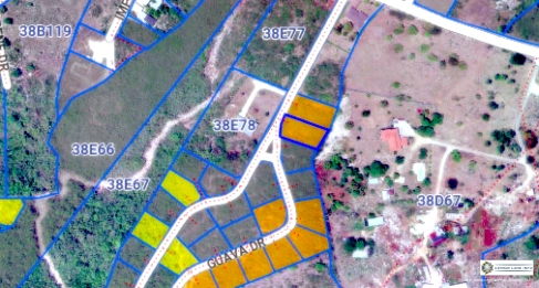 GUAVA GROVES - HOUSE LOT 220