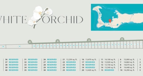 White Orchid - New Savannah Community - L20