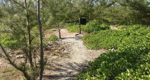 Spotts Huge Seafront Site - Next to Wellness Park