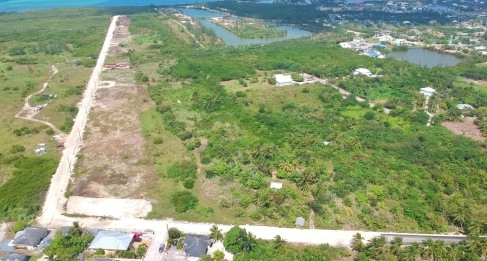 White Orchid - New Savannah Community - L22