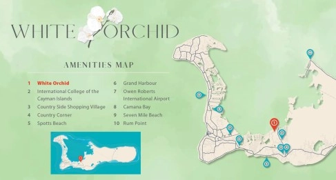 White Orchid - New Savannah Community - L21