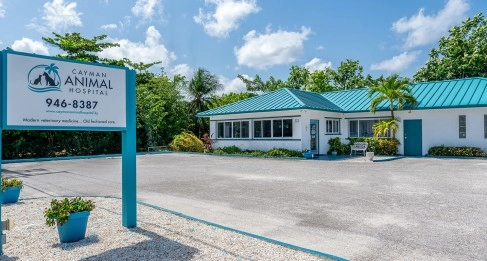 Cayman Animal Hospital on Crewe Road