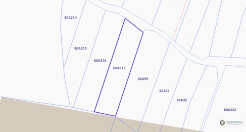 Little Cayman West Lot