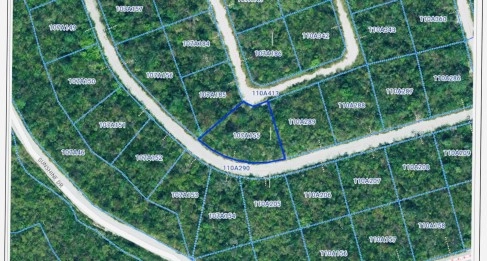 CAYMAN BRAC LOT .2975 ACRE LAND