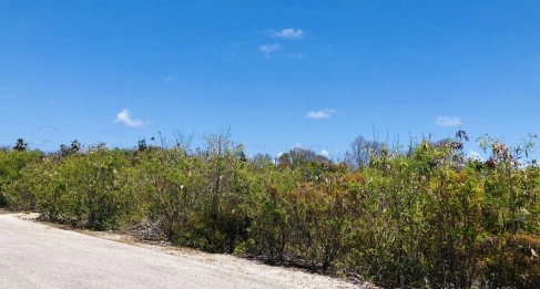 Colliers Duplex Lot - .32 Acres
